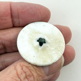 Sepia-Washed Milk Glass