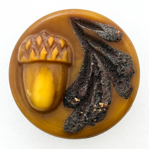 One-piece Acorn Celluloid