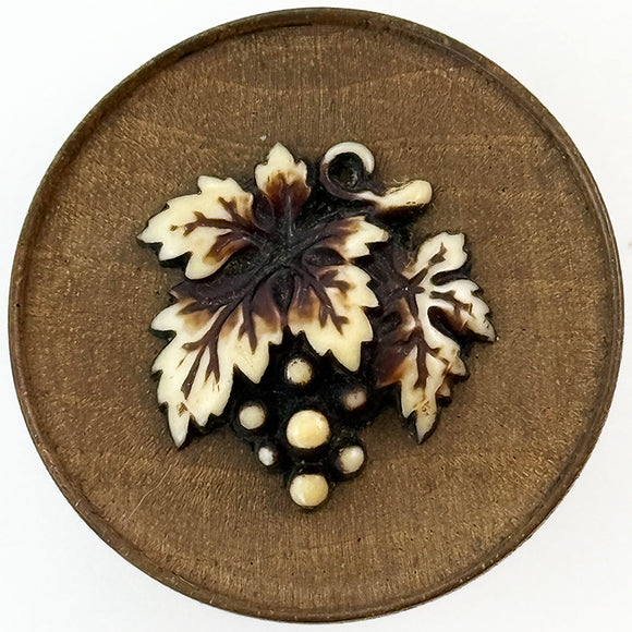 Ivoroid Grapes on Wood