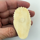 Feather-Bonneted Native American