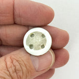 18th-C Porcelain