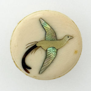 Shibayama Flycatcher