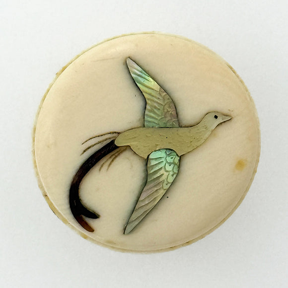 Shibayama Flycatcher