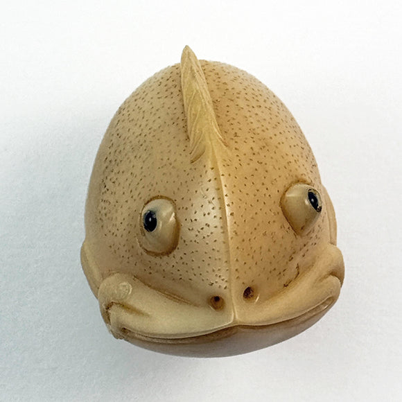 VI Fish