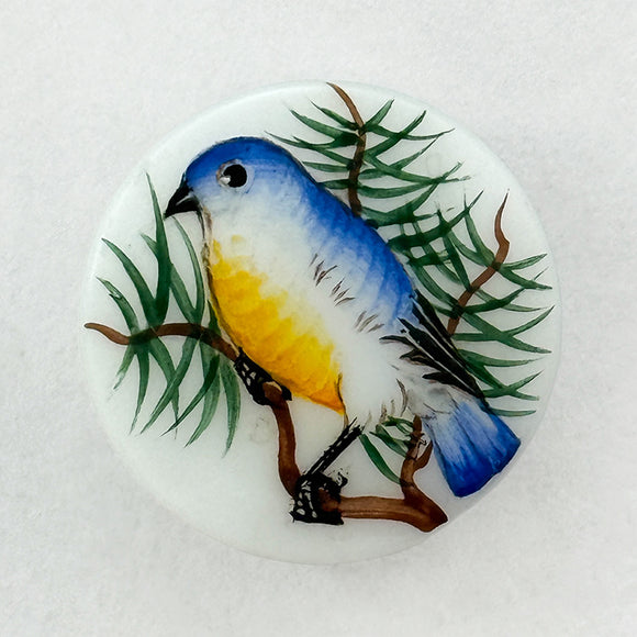 Painted Bird Glass