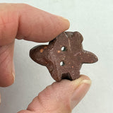 Pipestone Turtle