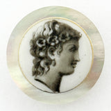 Shell & Porcelain