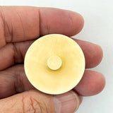 Shibayama Iris