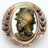 Minerva on Shell