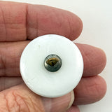 Draft Horse on Glass