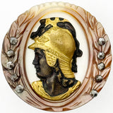 Minerva on Shell