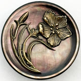 Blossom on Shell