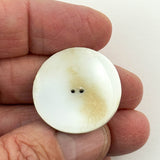 Noble Drake Carved Cowrie