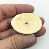 Antler Scrimshaw