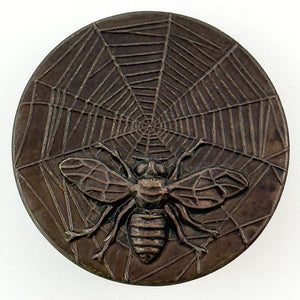 Bee on Spiderweb
