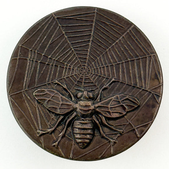 Bee on Spiderweb