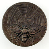 Bee on Spiderweb