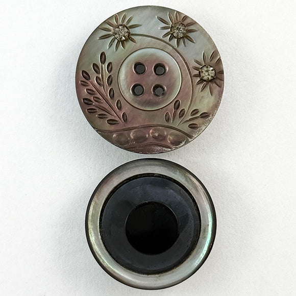 Shell with Glass/Pastes