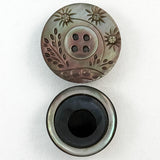 Shell with Glass/Pastes