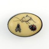 Shibayama Insects