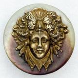 Shell Medea