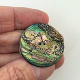 Gilded Abalone