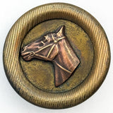 Ashlee Type Horse