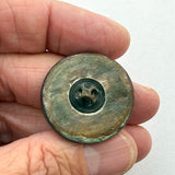 Shell Mousetrap