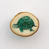 Wahaba Tortoise