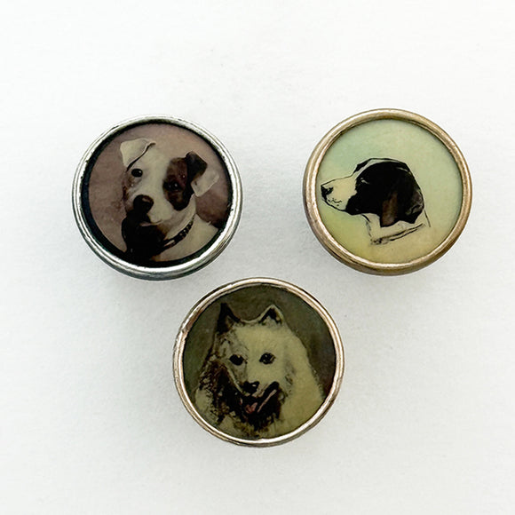 Three Dogs