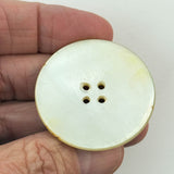 Shell Overlay Horseshoe