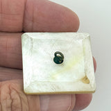 Inlaid Shell Square