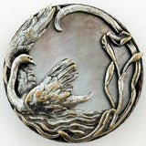 Swan Shell Background