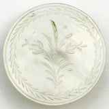 Georgian Shell