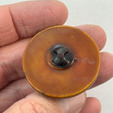 One-piece Acorn Celluloid