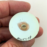 Kate Greenaway Studio