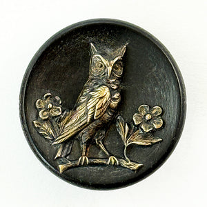 Owl on Wood
