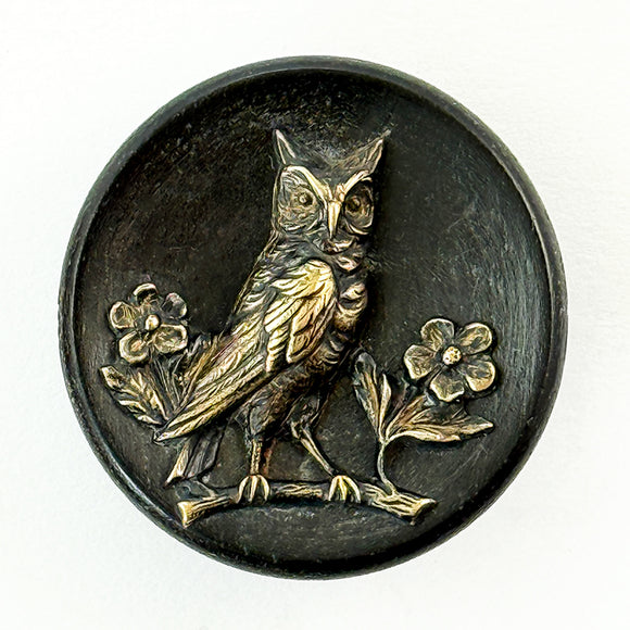 Owl on Wood