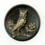 Owl on Wood