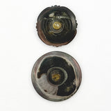 Rococo Revival Shell