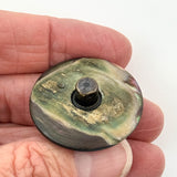 Abalone Horseshoe