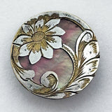 Rimmed & Faced Shell