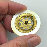 Shell-Bordered Enamel