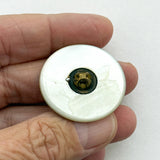 Shell Wheat