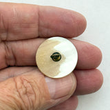 Shell Portrait