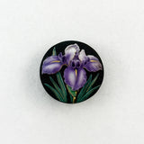 Arita Iris