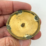 Abalone Shell Background