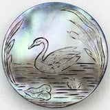 Dyed Shell Swan