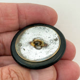 Rococo Shell