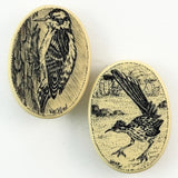 Scrimshaw Birds